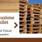 Produzione pallet due i di polesel alessandra pordenone