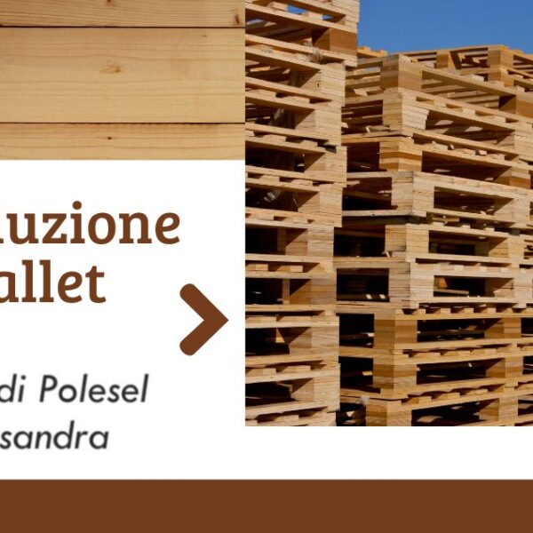 Produzione pallet due i di polesel alessandra pordenone