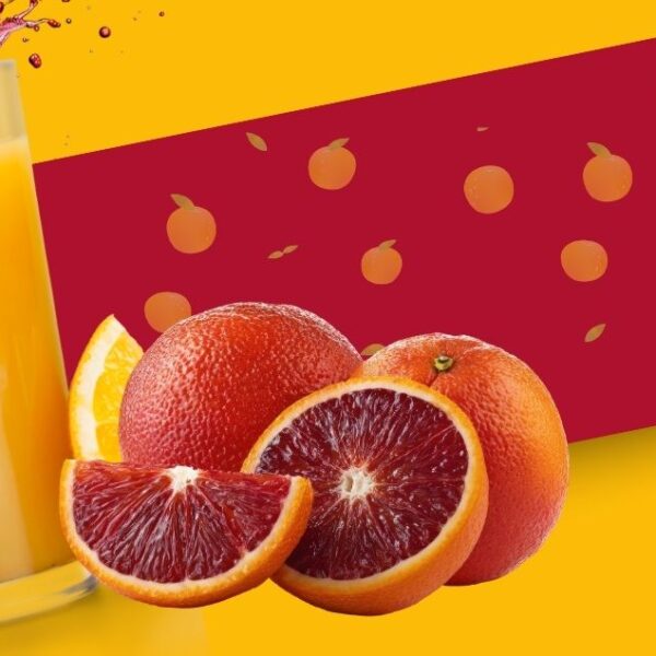Produzione succo biologico di arancia rossa in Italia da International Juice