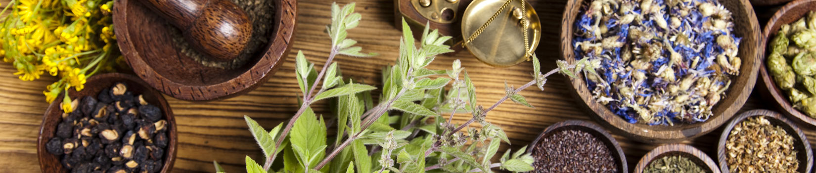 banner-erboristeriaclubnatura-homepage