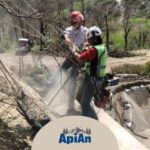 barre-filettate-e-cavi-di-tiraggio-a-Carrara-da-ApiAn