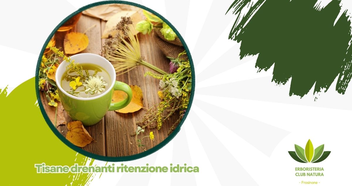 Tisane drenanti ritenzione idrica vicino Alatri presso Erboristeria Club Natura Tisane drenanti ritenzione idrica vicino Alatri presso Erboristeria Club Natura