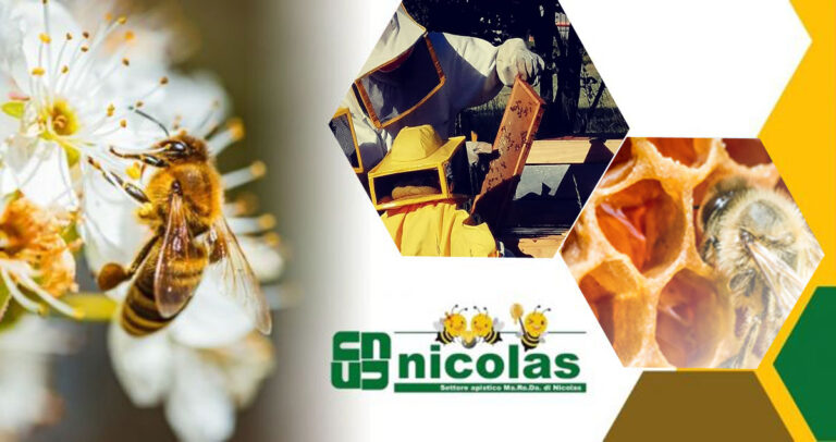 Trattamento acido ossalico api varroa biologico da Nicolas