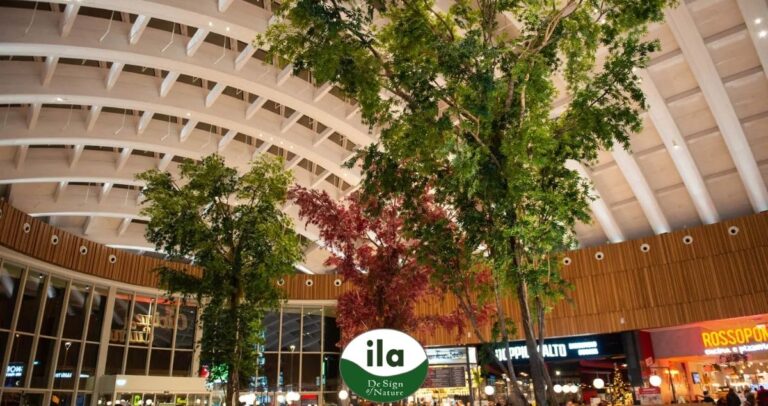 Piante artificiali per decorazioni da ILA