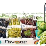 Specialisti nella produzione di uva da tavola di alto pregio in Italia Pavone Srl