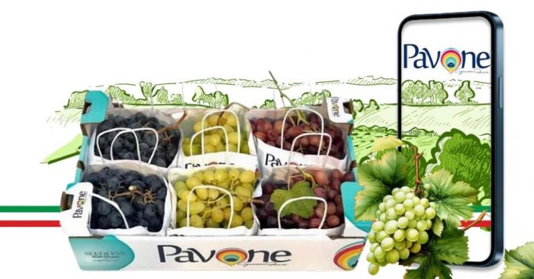 Specialisti nella produzione di uva da tavola di alto pregio in Italia Pavone Srl