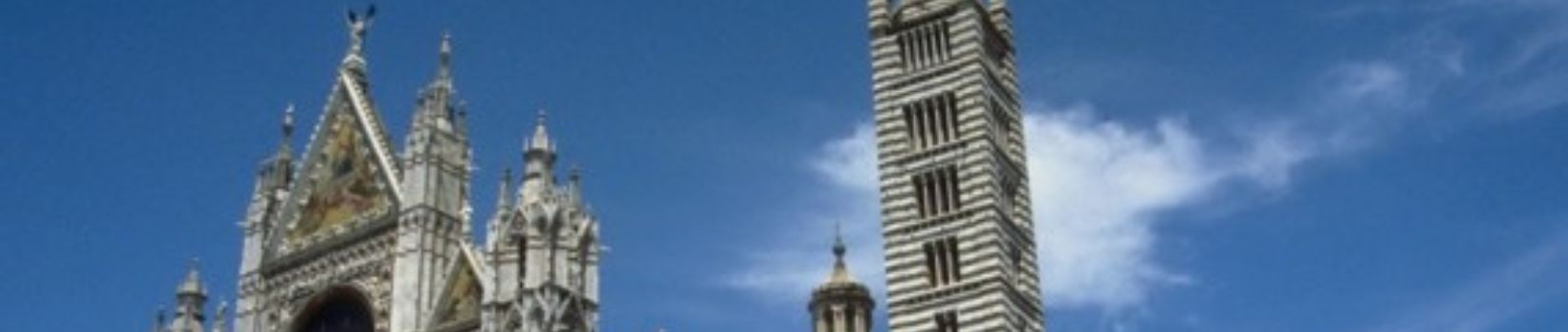 banner-pc_Consorzio-Siena-Co.Ge.S.
