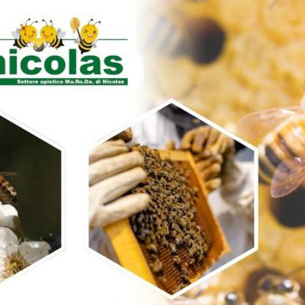 Vendita arnie in legno certificate per apicoltura biologica da Nicolas