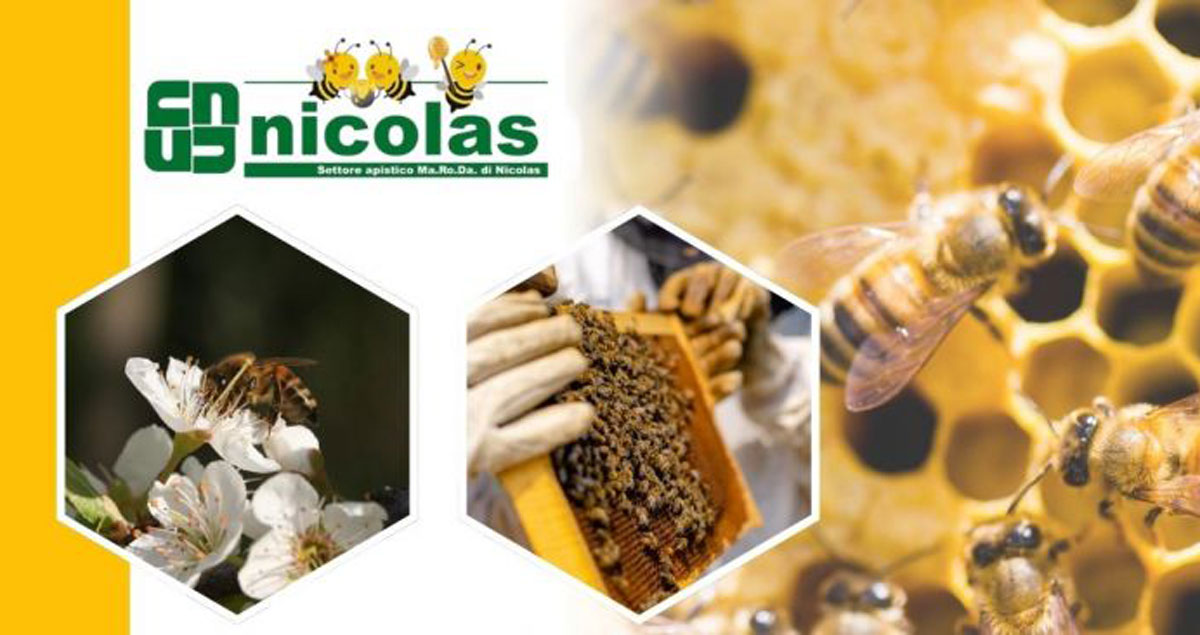 Vendita arnie in legno certificate per apicoltura biologica da Nicolas Vendita arnie in legno certificate per apicoltura biologica da Nicolas