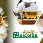 Vendita linea smielatura professionale da Nicolas