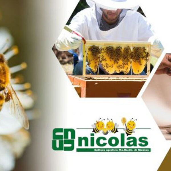 Vendita linea smielatura professionale da Nicolas