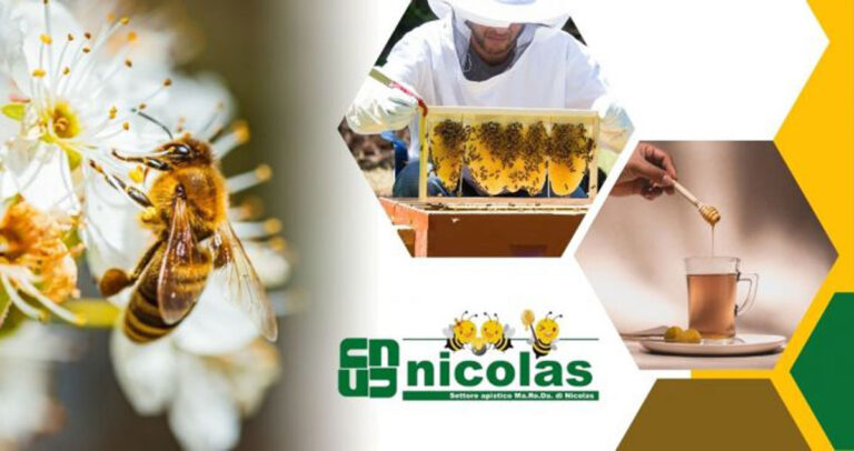 Vendita linea smielatura professionale da Nicolas