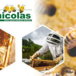 Vendita attrezzature apistiche migliori marche da Nicolas