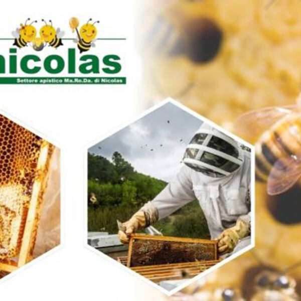 Vendita attrezzature apistiche migliori marche da Nicolas