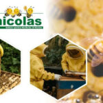 Vendita attrezzature apistiche professionali da Nicolas