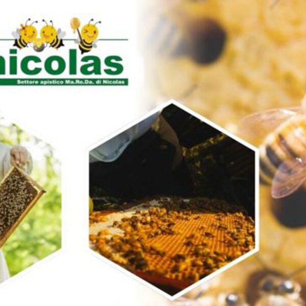 Noleggio aspirasciami professionale apicoltori da Nicolas