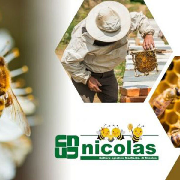 Cosmetici miele biologico certificato naturale da Nicolas