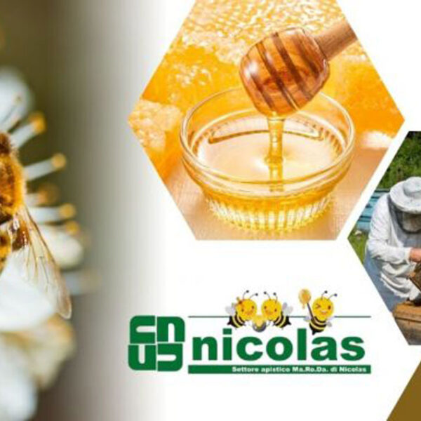 Kit completo abbigliamento apicoltore tuta guanti maschera da Nicolas