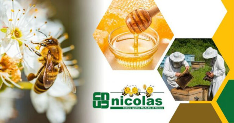 Kit completo abbigliamento apicoltore tuta guanti maschera da Nicolas