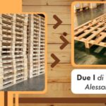 Pallet industriali in legno Pordenone due i di polesel alessandra pordenone