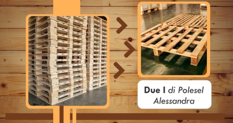 Pallet industriali in legno Pordenone due i di polesel alessandra pordenone